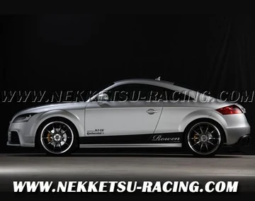 ชุดแต่งรอบคัน AUDI TT Rowen 06-10 (JAPAN)