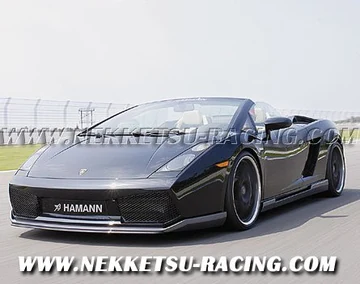 ชุดแต่ง Lamborghini Gallardo Spyder up to MY 2/2008 ทรง Hamann